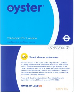 Oyster Oyster